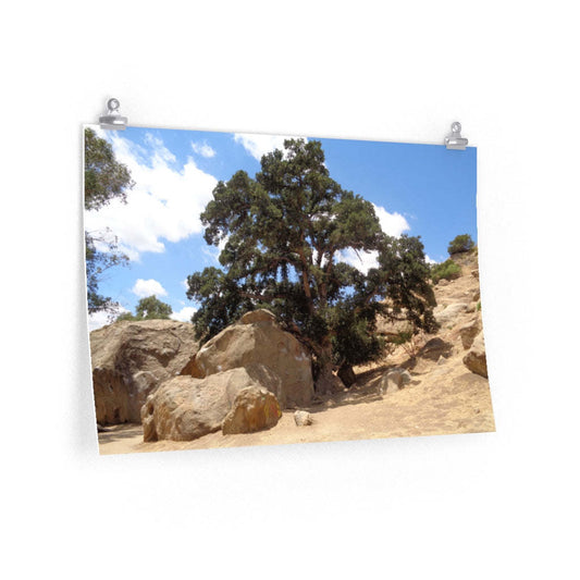 The Tree Premium Matte horizontal poster