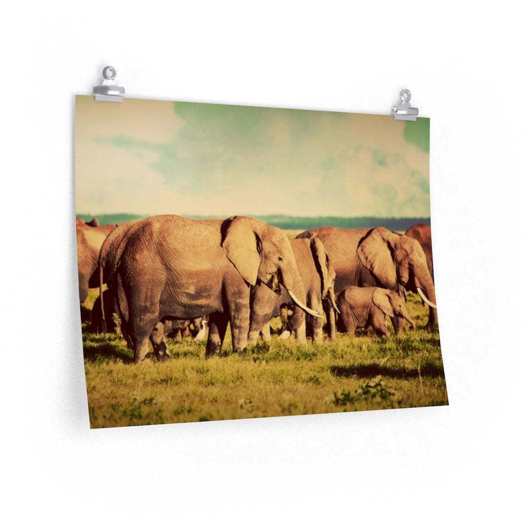 Elephant Family Premium Matte Poster
